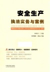 安全生产执法实务与案例 封面