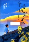 亲爱的笨蛋 封面