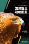 大兴安岭次生林区常见野生动物图鉴 封面