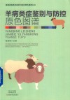 羊病类症鉴别与防控原色图谱 封面