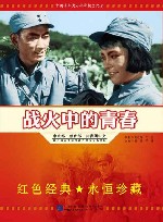 战火中的青春 封面