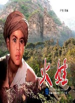 火娃 封面