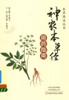《神农本草经》用药指南 封面