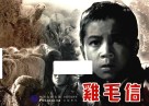 鸡毛信 封面