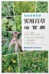 实用百草治百病 封面