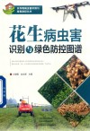 花生病虫害识别与绿色防控图谱 封面