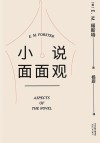 小说面面观 封面