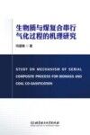 生物质与煤复合串行气化过程的机理研究 封面