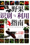 野果识别与利用指南 封面