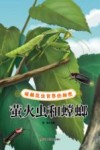 破解昆虫世界的秘密  萤火虫和螳螂 封面