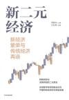新二元经济 新经济繁荣与传统经济再造 封面