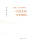 文化透镜  历史人类学视域下桂西土司社会研究 封面