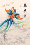 凤栖梧 封面