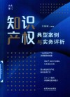 大成集  知识产权典型案例与实务评析 封面