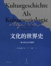 文化的世界史  一种文化社会学阐释 封面