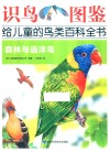 识鸟图鉴,给儿童的鸟类百科全书  森林与远洋鸟 封面