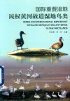 国际重要湿地民权黄河故道湿地鸟类 封面