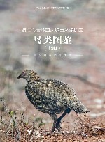 浙江乌岩岭国家级自然保护区鸟类图鉴  上册 封面