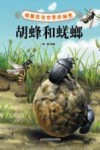 破解昆虫世界的秘密  胡蜂和蜣螂 封面