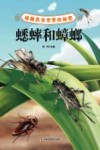 破解昆虫世界的秘密  蟋蟀和蟑螂 封面