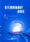 多元理想插值的离散化 封面