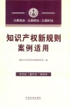 知识产权新规则案例适用 封面
