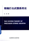 精确打击武器系统论 封面