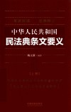 中华人民共和国民法典条文要义  上 封面