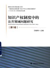 知识产权制度中的公共领域问题研究  第1卷 封面