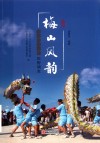 梅山风韵  海岛民间文化田野调查 封面
