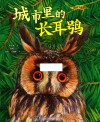 我的飞鸟朋友  城市里的长耳鸮 封面