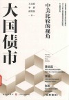 大国债市  中美比较的视角 封面