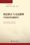 刑法修正与司法解释中的新型问题研究 封面