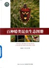 百种蝽类昆虫生态图册 封面