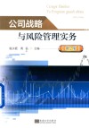 公司战略与风险管理实务  第2版 封面