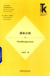外国文学研究核心话题系列丛书 外语学科核心话题前沿研究文库 成长小说 封面