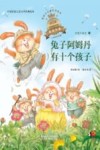 兔子阿姆丹有十个孩子 封面