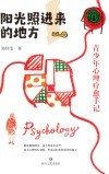 阳光照进来的地方 青少年心理疗愈手记 封面