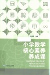 小学数学核心素养养成课 封面