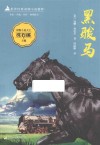 黑骏马 封面
