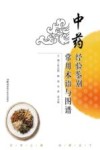 中药经验鉴别常用术语与图谱 封面