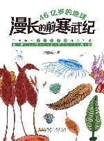 46亿岁的地球  漫长的前寒武纪