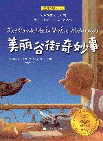 美丽谷街奇妙事 封面