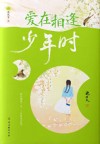爱在相逢少年时 封面