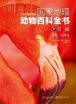 国家地理动物百科全书  鸟类  涉禽夜行鸟 封面
