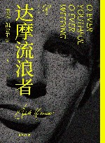 达摩流浪者 封面