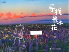 寻找鲁冰花 封面