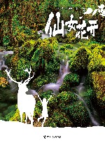仙女花开
