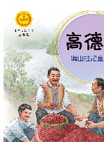 高德荣  满山挂起金果果 封面