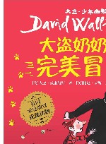 大盗奶奶的完美冒险 封面